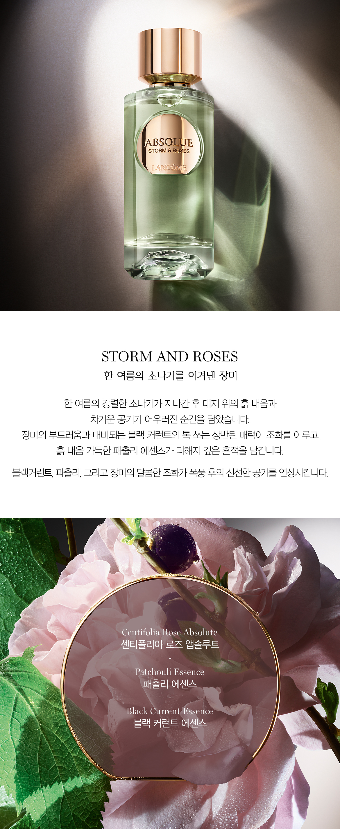 압솔뤼 르 퍼퓸 이미지